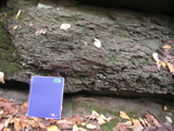 P1010018.JPG