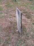 P1010028.JPG