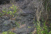 IMG_1347.JPG