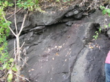 P1010029.JPG
