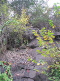 P1010031.JPG