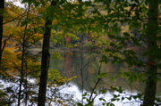 IMG_1349.JPG