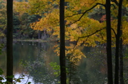 IMG_1350.JPG