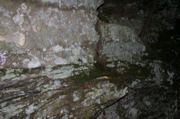 IMG_1354.JPG
