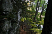 IMG_1355.JPG