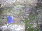P1010034.JPG