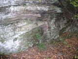 P1010038.JPG