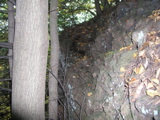 P1010042.JPG