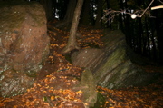 IMG_1357.JPG