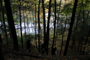 IMG_1361.JPG