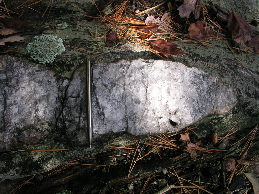P1010002.JPG