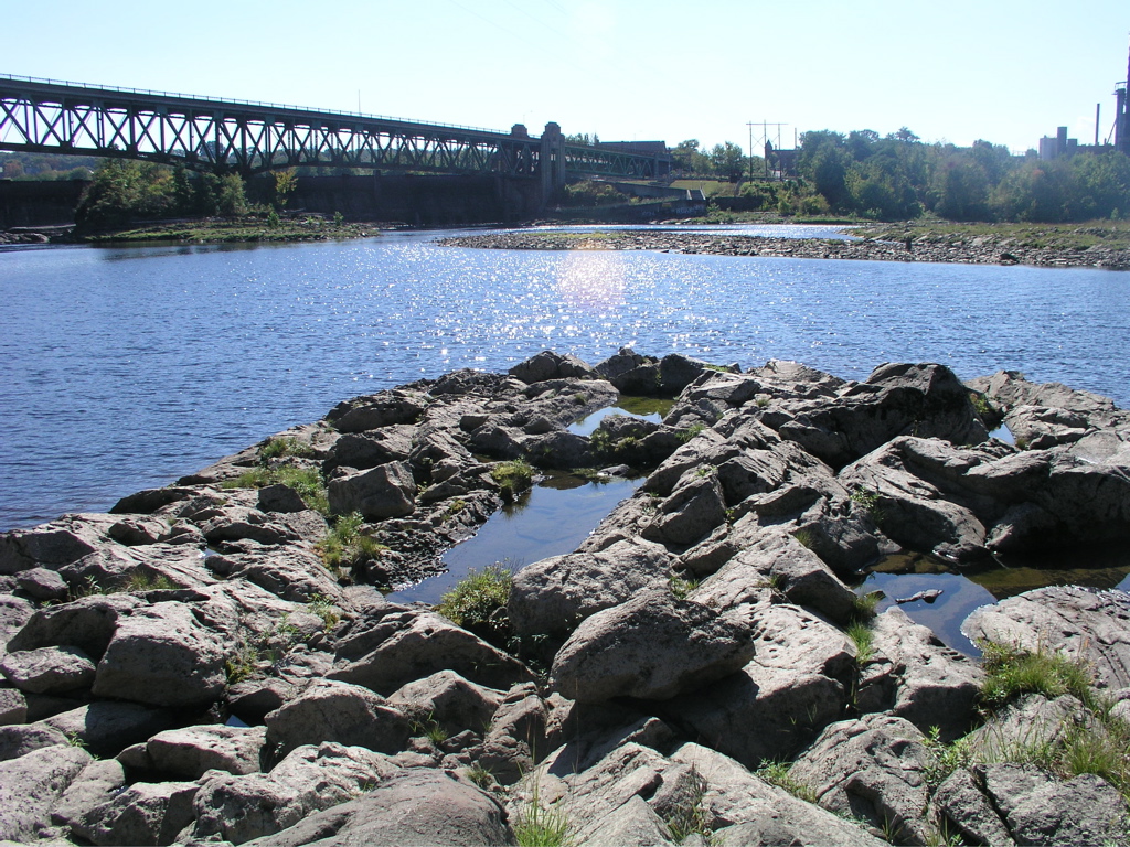 P1010001.JPG