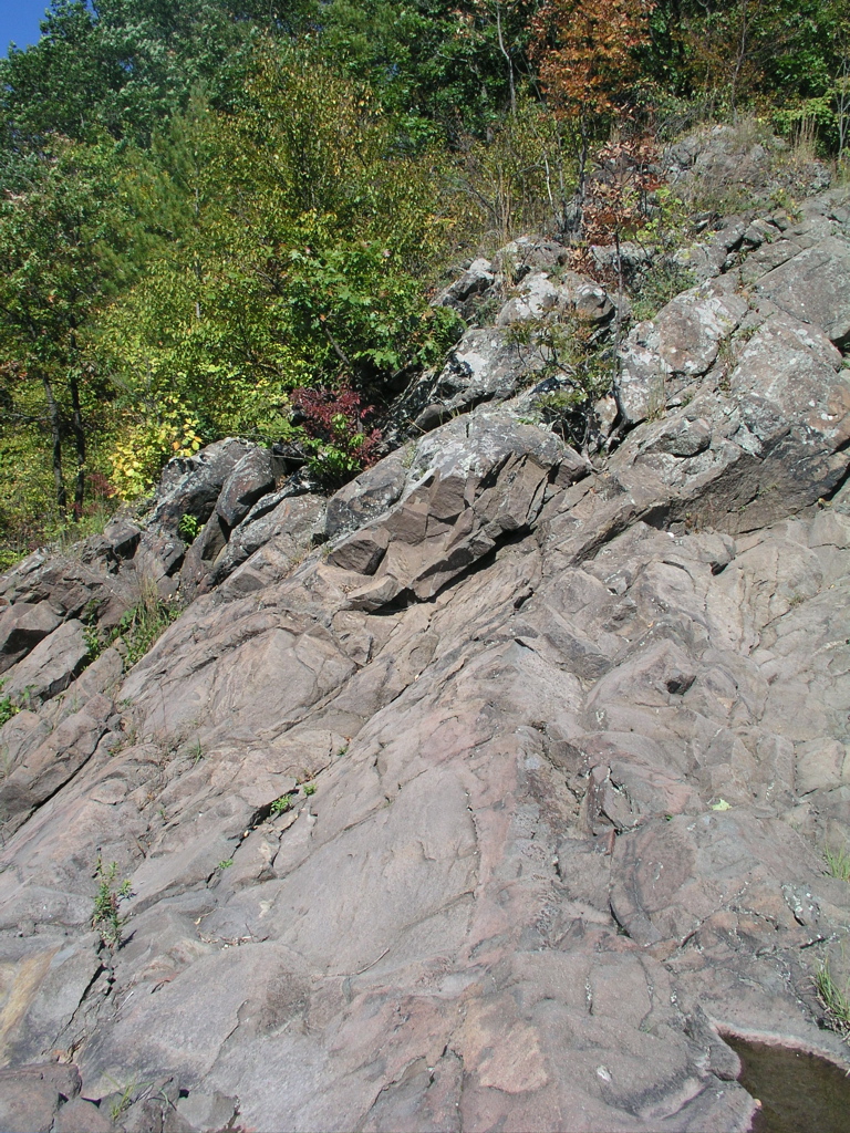 P1010002.JPG