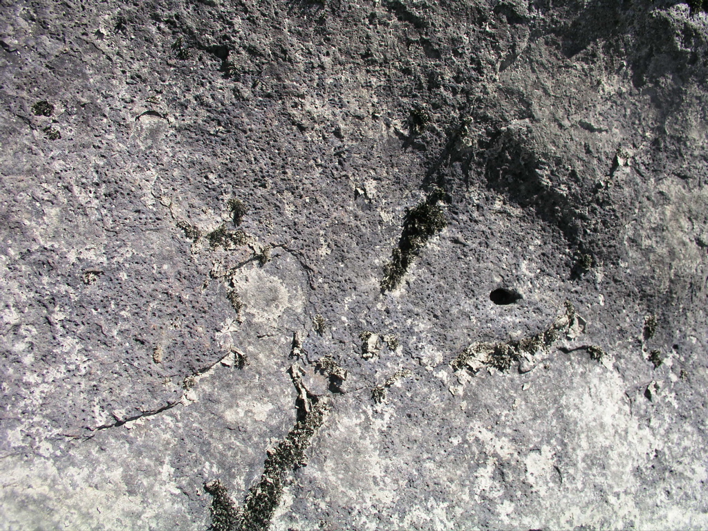 P1010012.JPG