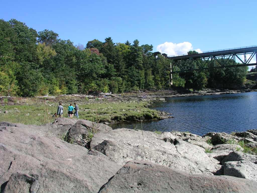 P1010013.JPG