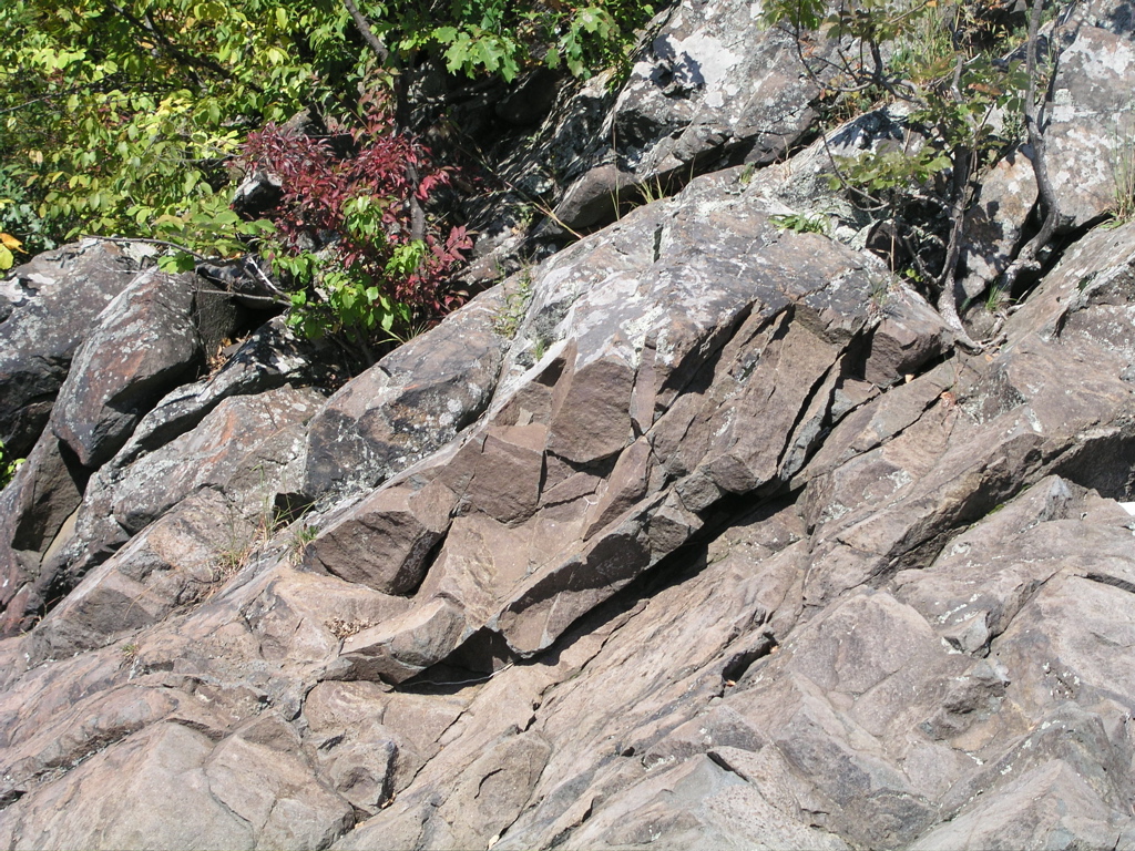P1010017.JPG
