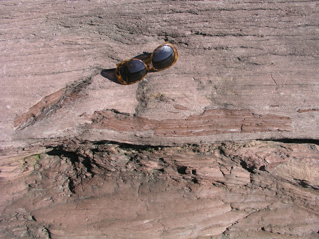 P1010023.JPG
