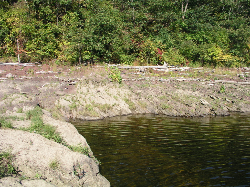 P1010025.JPG
