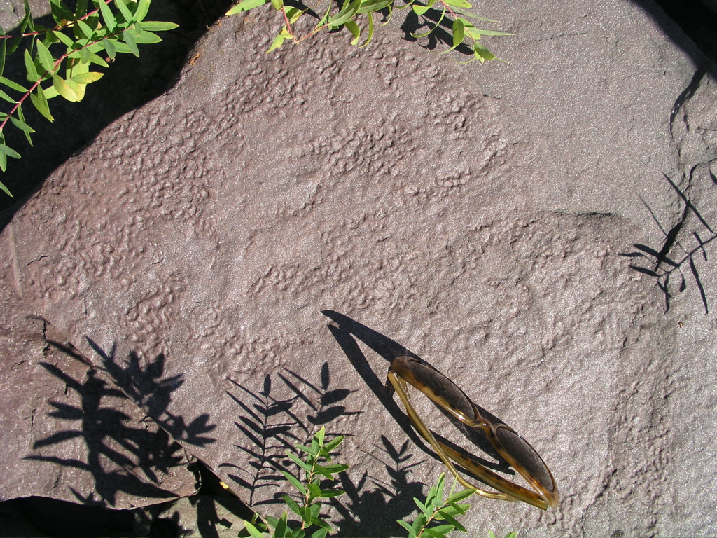 P1010026.JPG