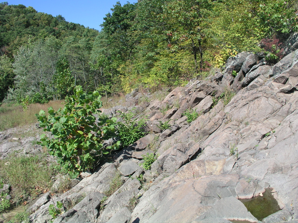 P1010006.JPG