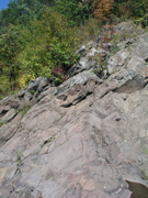 P1010002.JPG