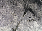 P1010012.JPG