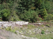 P1010015.JPG