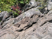P1010017.JPG