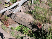 P1010020.JPG