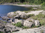P1010003.JPG