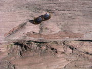 P1010023.JPG
