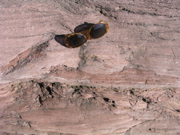 P1010024.JPG