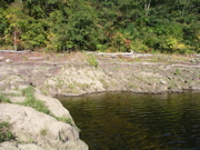 P1010025.JPG