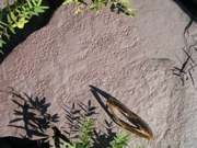 P1010026.JPG