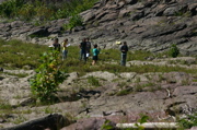 IMG_1176.JPG
