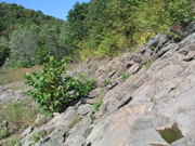 P1010006.JPG