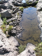 P1010007.JPG