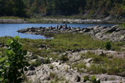 IMG_1206.JPG