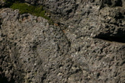 IMG_1208.JPG