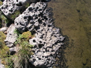 P1010008.JPG