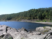 P1010010.JPG
