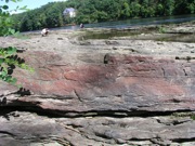 P1010007.JPG