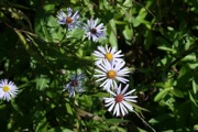 IMG_6745.JPG