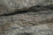 IMG_6749.JPG