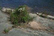 IMG_6755.JPG