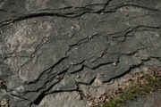 IMG_6757.JPG