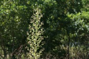 IMG_6760.JPG