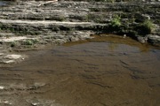 IMG_6728.JPG