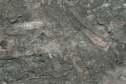 IMG_6761.JPG