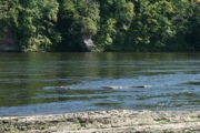 IMG_6766.JPG